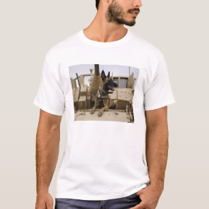 Ein militärisch arbeitender Hund sitzt auf einem M T-Shirt