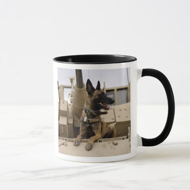Ein militärisch arbeitender Hund sitzt auf einem M Tasse (Rechts)
