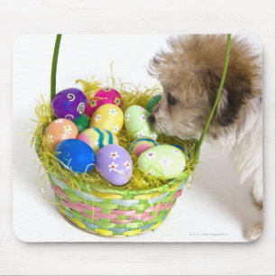 Ein Mischzuchtwelpe, der an einem Ostern-Korb Mousepad