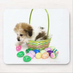 Ein Mischzuchtwelpe, der in einem Ostern-Korb Mousepad