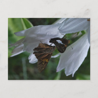 Ein Modemdatum Postkarte