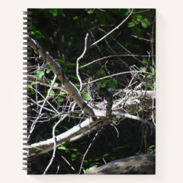 Ein Moment des Light Spiral Notebooks Notizbuch