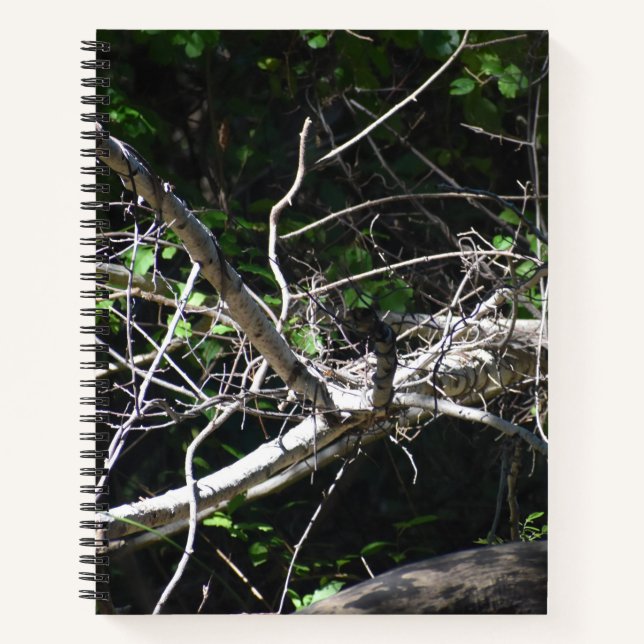 Ein Moment des Light Spiral Notebooks Notizbuch (Vorderseite)