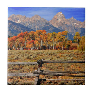 Ein Moment in Wyoming im Herbst Fliese