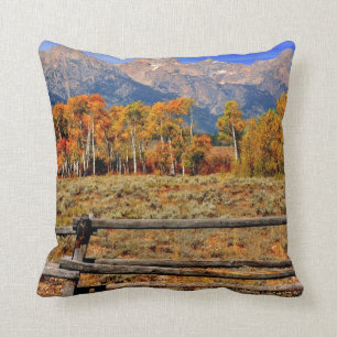 Ein Moment in Wyoming im Herbst Kissen