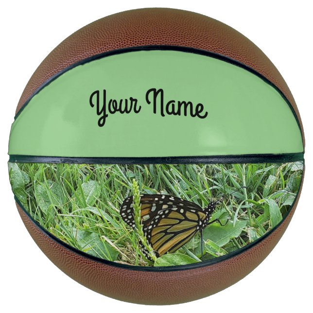 Ein Monarchen Butterfly Basketball (Vorderseite)