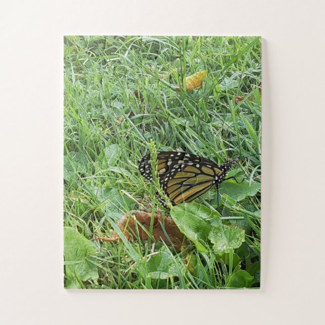 Ein Monarchen-Schmetterling (Vertikal)