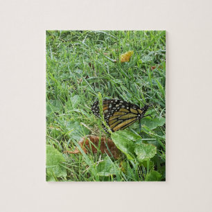 Ein Monarchen-Schmetterling
