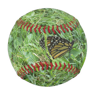 Ein Monarchen-Schmetterling  Baseball
