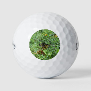 Ein Monarchen-Schmetterling Golfball