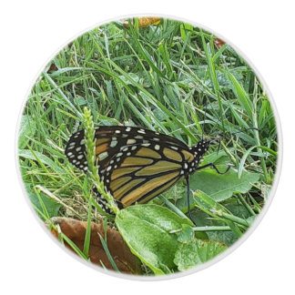 Ein Monarchen-Schmetterling Keramikknauf