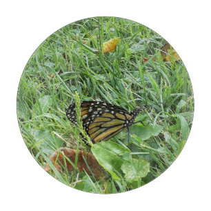Ein Monarchen-Schmetterling Schneidebrett