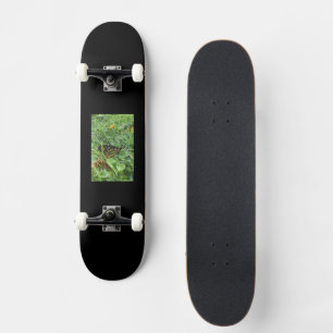 Ein Monarchen-Schmetterling Skateboard