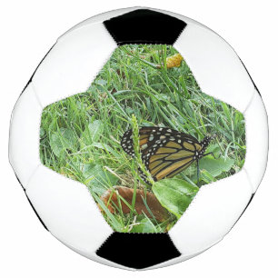Ein Monarchfalter Fußball