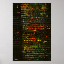 Ein Monat Yellowstone Sounds