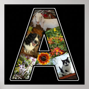 Ein Monogramm erstellen Sie Ihre eigene 6-Collage Poster