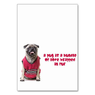Ein Mops ist ein Bündel von Liebe, die in Pelz umm Tischnummer