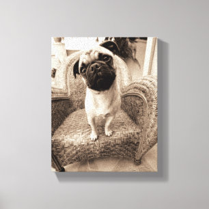Ein Mops mit seinem Kopf betitelt zur Seite Leinwanddruck