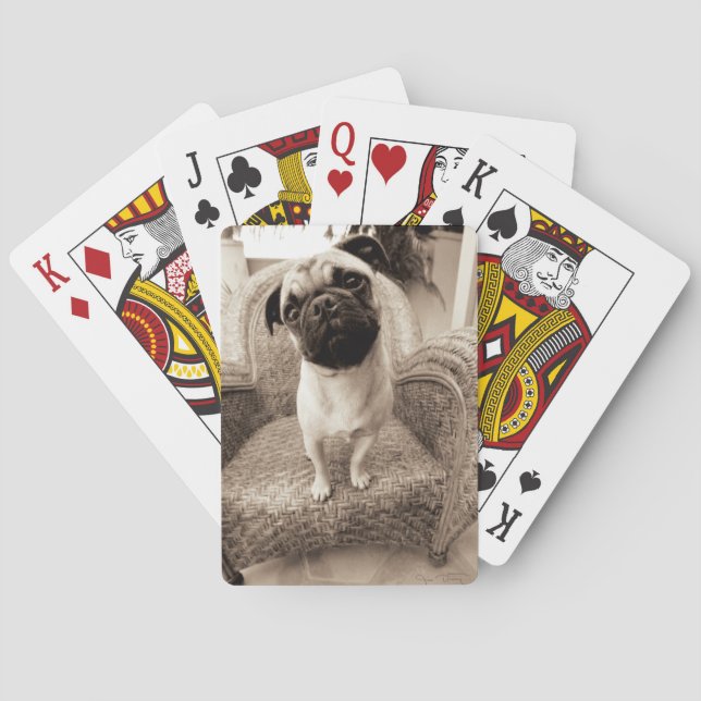 Ein Mops mit seinem Kopf betitelt zur Seite Spielkarten (Rückseite)