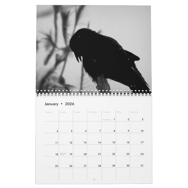 Ein Mord an Krähen-Kalender 2015 Kalender (Jan 2026)