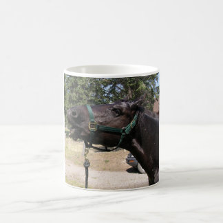 Ein Morgen-Getränk Kaffeetasse