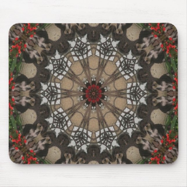 Ein Moxierad Mousepad (Vorne)