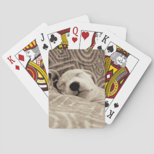 Ein müder Hund Spielkarten