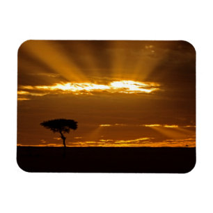 Ein Mund eröffnet den Sonnenaufgang im Maasai Mara Magnet
