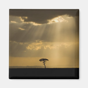 Ein mystischer Sonnenuntergang bei der Rückkehr in Magnet
