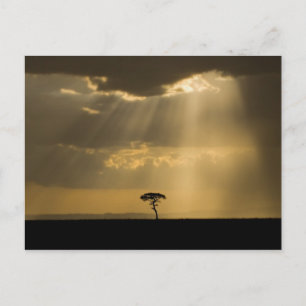Ein mystischer Sonnenuntergang bei der Rückkehr in Postkarte