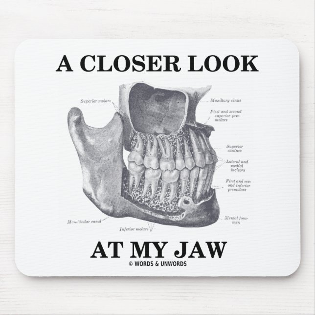 Ein Näherer Blick auf meinen Kiefer (anatomische K Mousepad (Vorne)