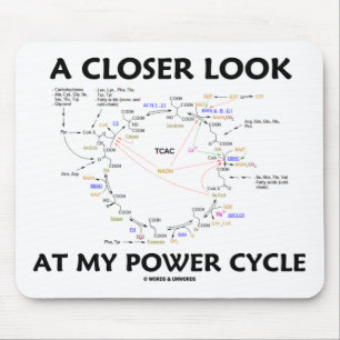 Ein naherer Blick auf meinen Power-Zyklus (Krebs Mousepad
