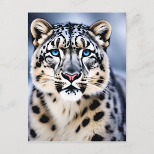 Ein Nahes Portrait eines Schneeleoparden Postkarte