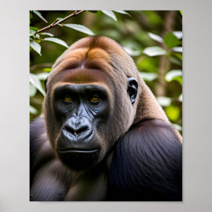 Ein Nahes Porträt eines Gorilla Poster