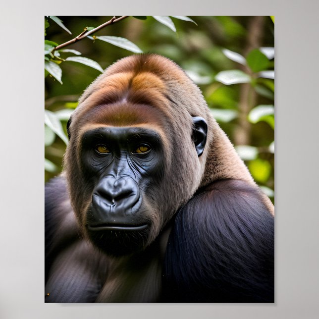 Ein Nahes Porträt eines Gorilla Poster (Vorne)