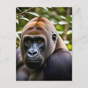 Ein Nahes Porträt eines Gorilla Postkarte