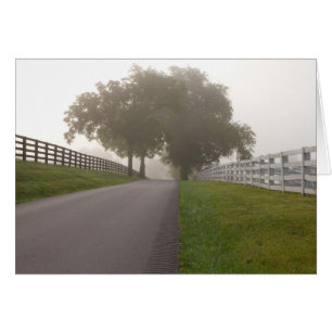 Ein nebeliger Bluegrass-Morgen