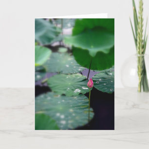 Ein neuer Morgen Feiertagskarte