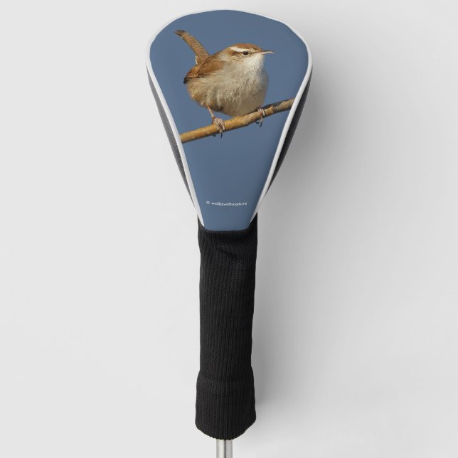 Ein neugieriger Bewick's Wren im Baum Golf Headcover (Vorderseite)