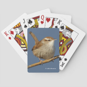Ein neugieriger Bewick's Wren im Baum Spielkarten
