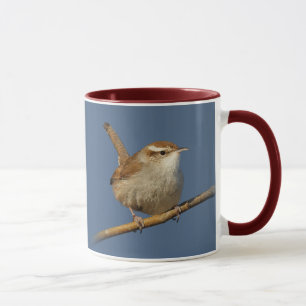 Ein neugieriger Bewick's Wren im Baum Tasse