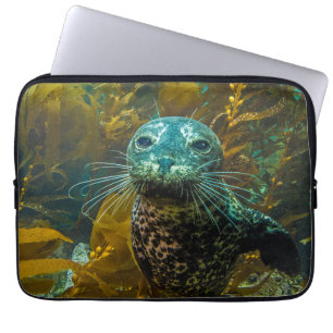 Ein neugieriger Hafen-Siegel-Kelp-Wald Santa Laptopschutzhülle