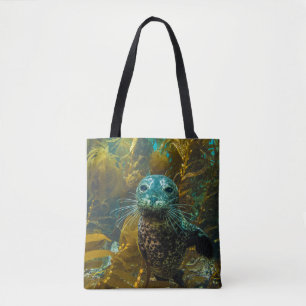 Ein neugieriger Hafen-Siegel-Kelp-Wald Santa Tasche