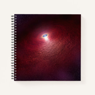 Ein Neutronenstern mit einer Scheibe warmen Staubs Notizbuch