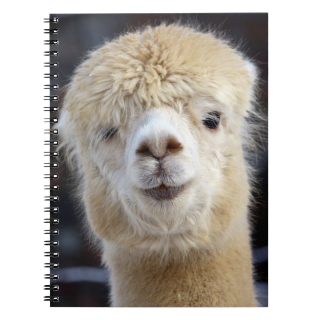 Ein niedlich flauschiges Alpaca-Gesicht Notizblock (Vorderseite)