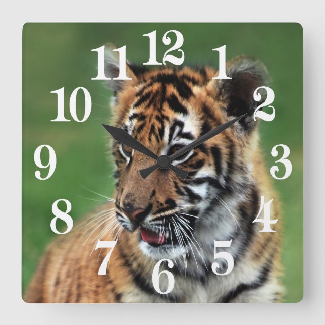 Ein niedlicher Babytiger Quadratische Wanduhr (Vorderseite)