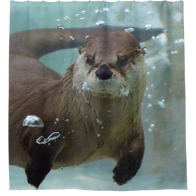 Ein niedlicher brauner Otter, der in einem klaren, Duschvorhang (Vorderseite)