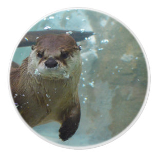 Ein niedlicher brauner Otter, der in einem klaren, Keramikknauf