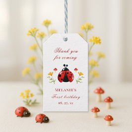 Ein Niedlicher Bug Ladybug 1. Geburtstagsgeschenk- Geschenkanhänger