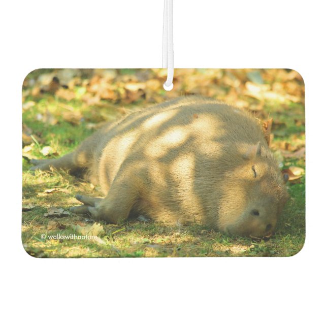 Ein Niedlicher Capybara-Traum im Sommer Autolufterfrischer (Vorderseite)